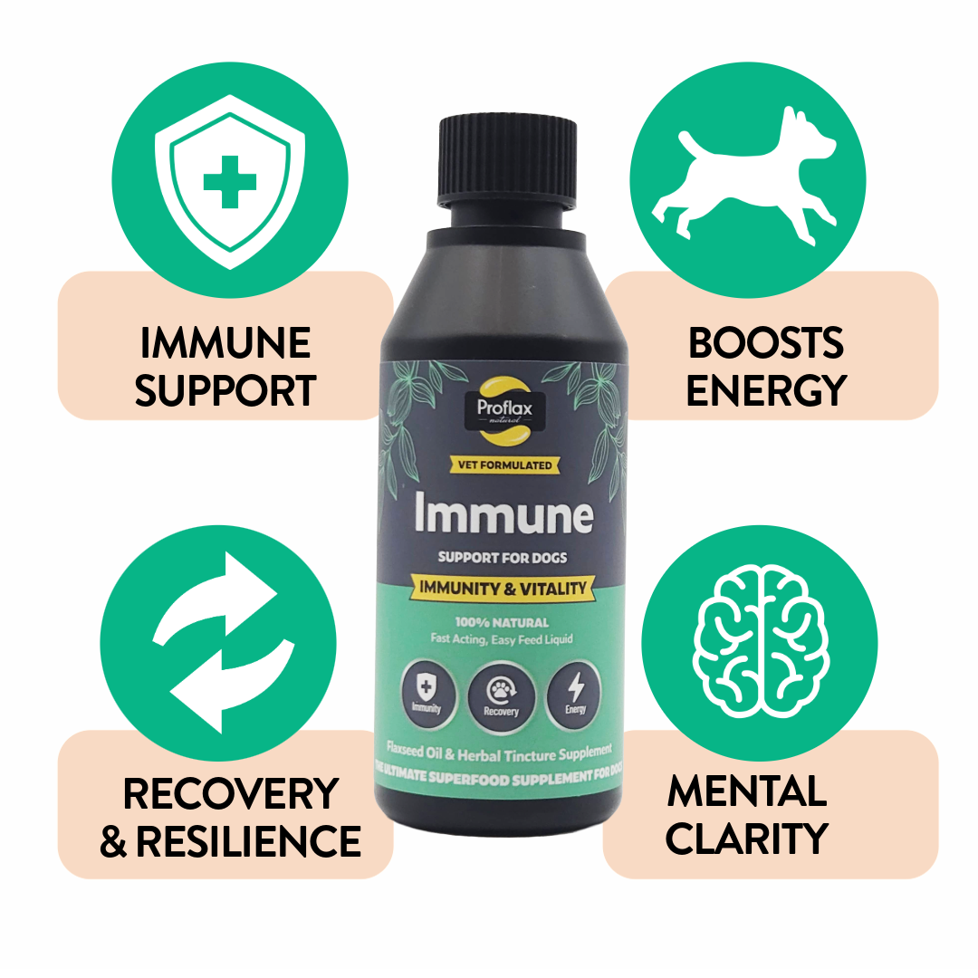 Immune & Energy Support for Dogs
