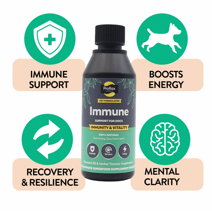 Immune & Energy Support for Dogs