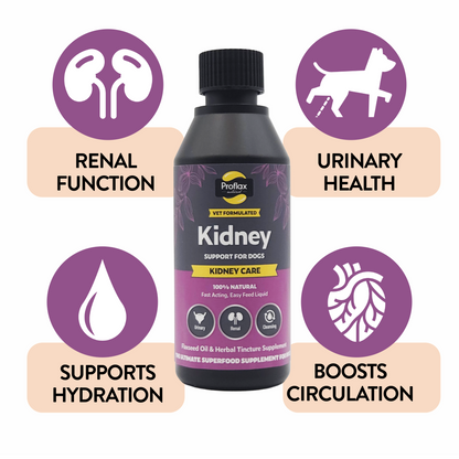 Kidney & Urinary Support for Dogs - Kidney Care