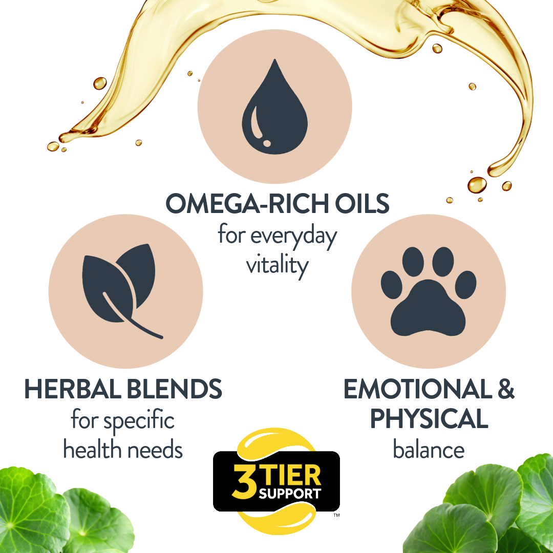 Bone, Joint & Mobility Support for Dogs
