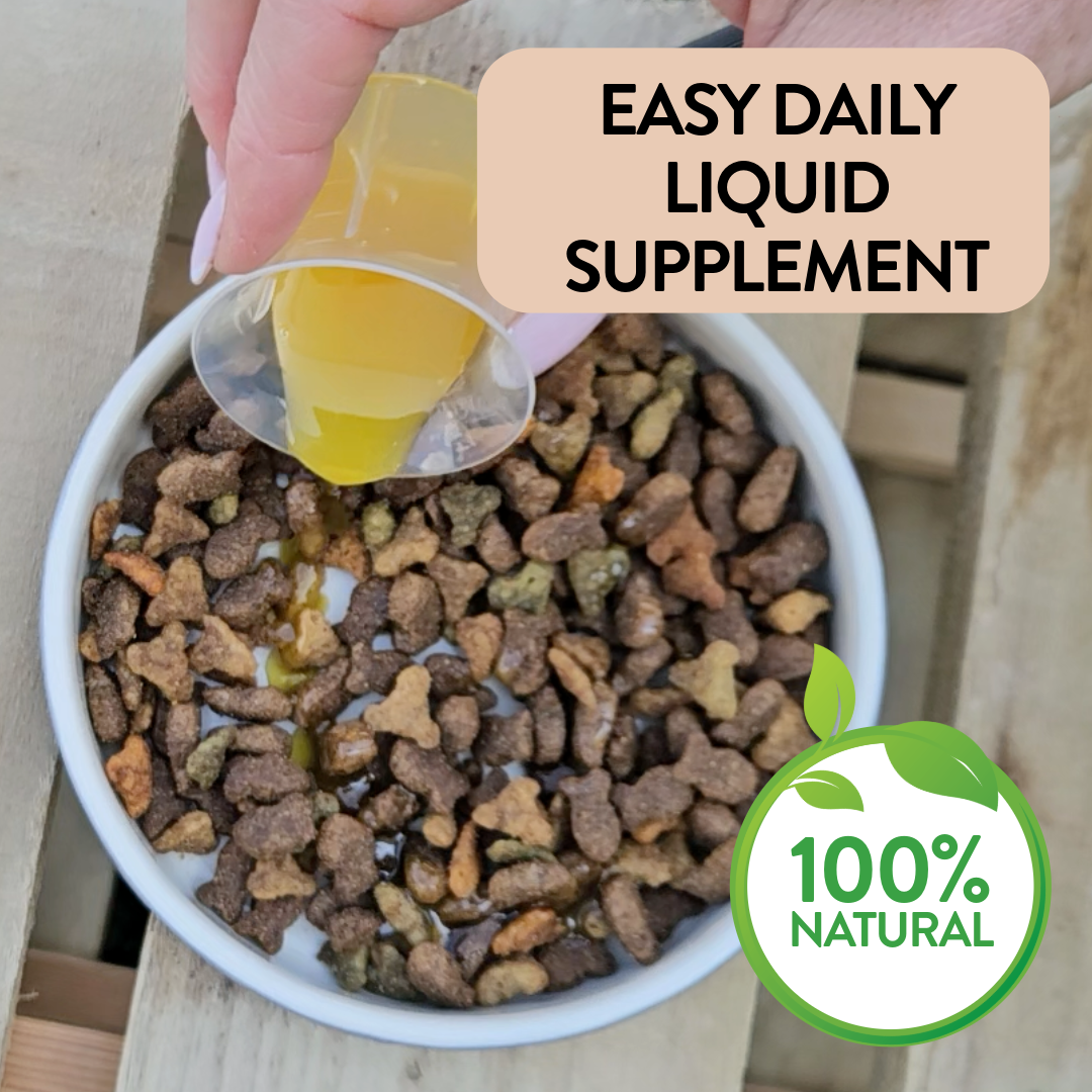 Heart & Circulation Support for Dogs - Healthy Heart