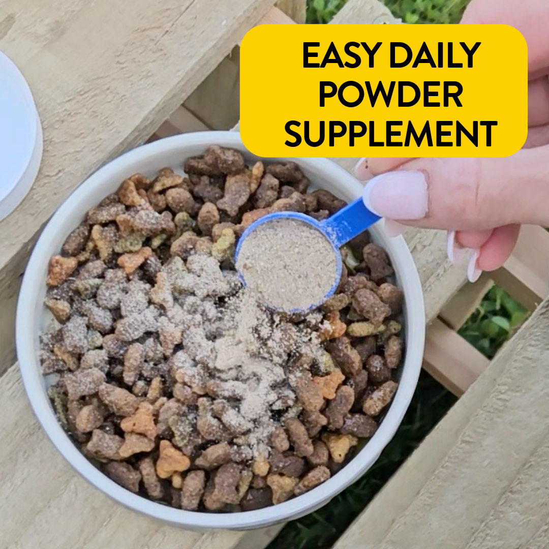 Proflax Flea & Tick Prevention For Dogs & Cats