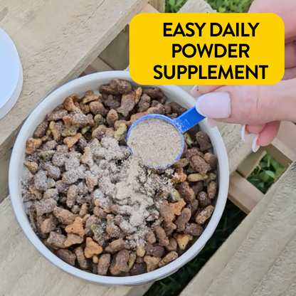 Proflax Mobility Support for Dogs