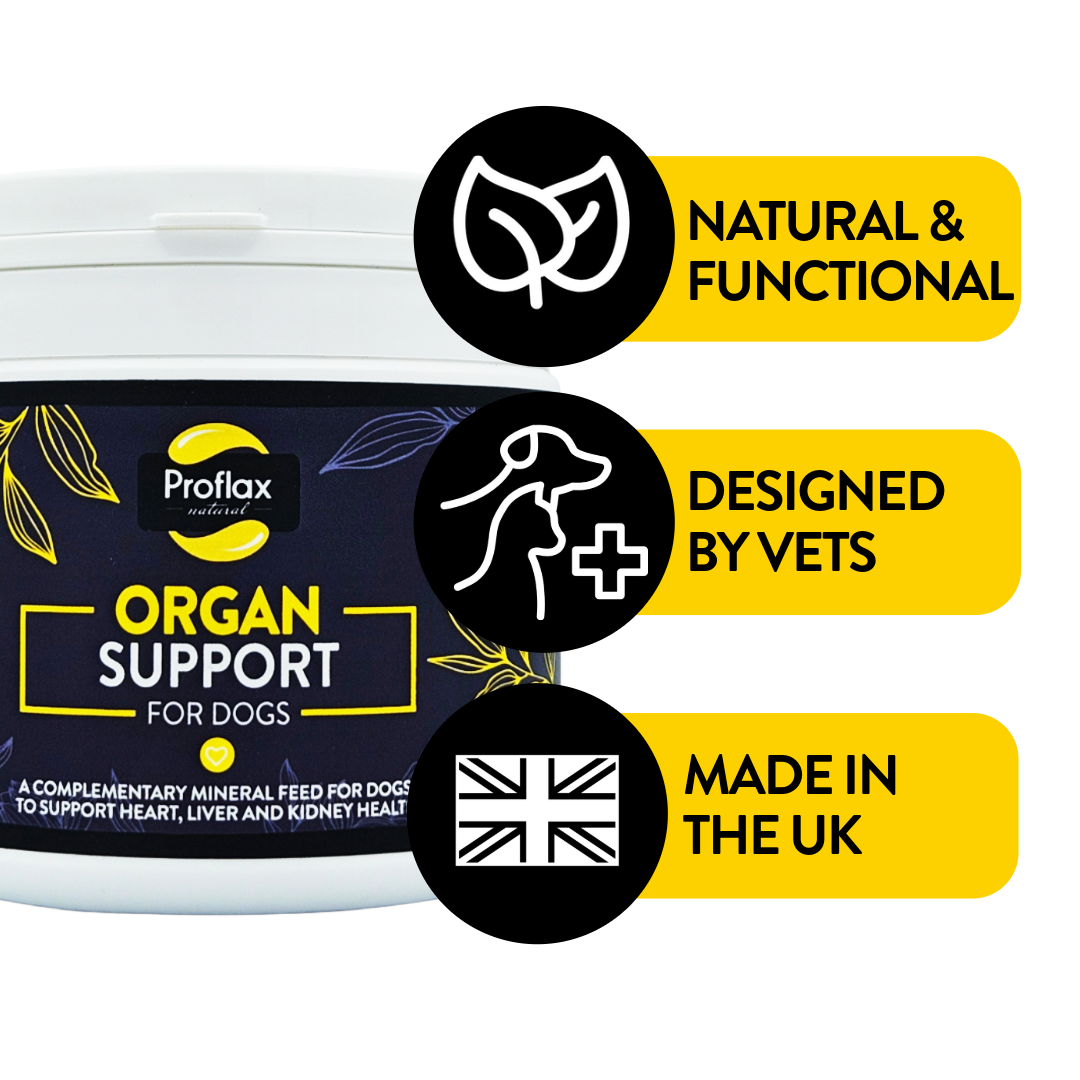 Proflax Organ Support For Dogs