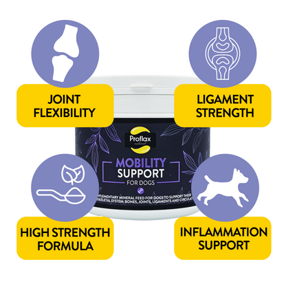 Proflax Mobility Support for Dogs