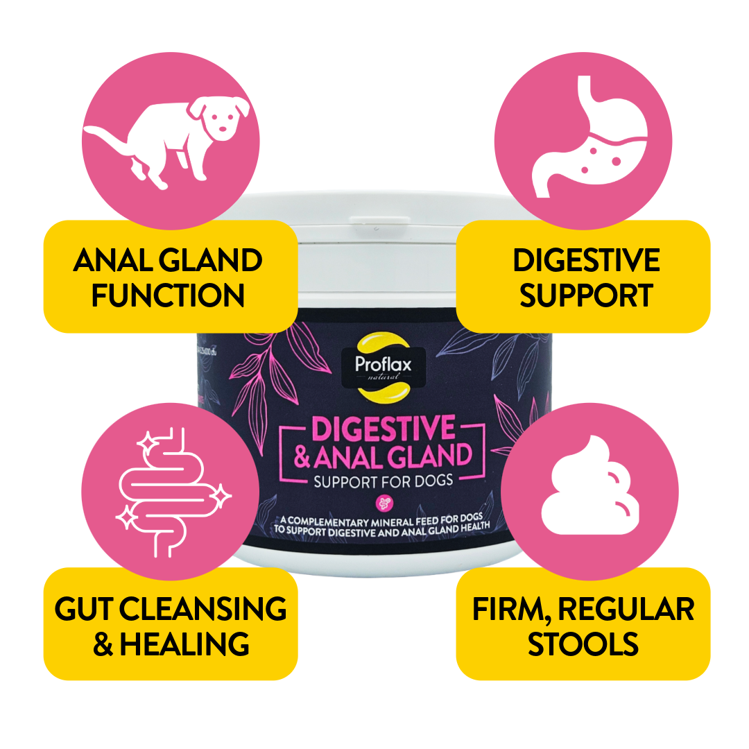 Proflax Digestive & Anal Gland Support for Dogs