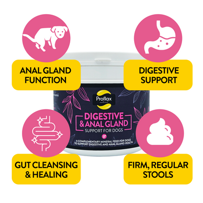 Proflax Digestive & Anal Gland Support for Dogs