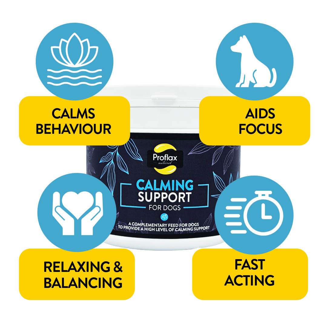 Proflax Calming Support for Dogs