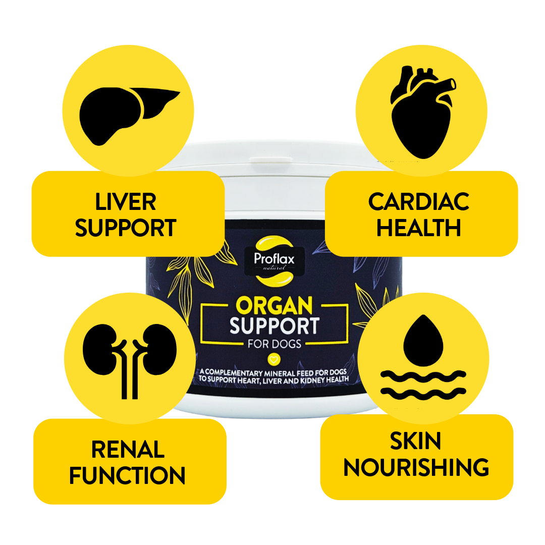 Proflax Organ Support For Dogs