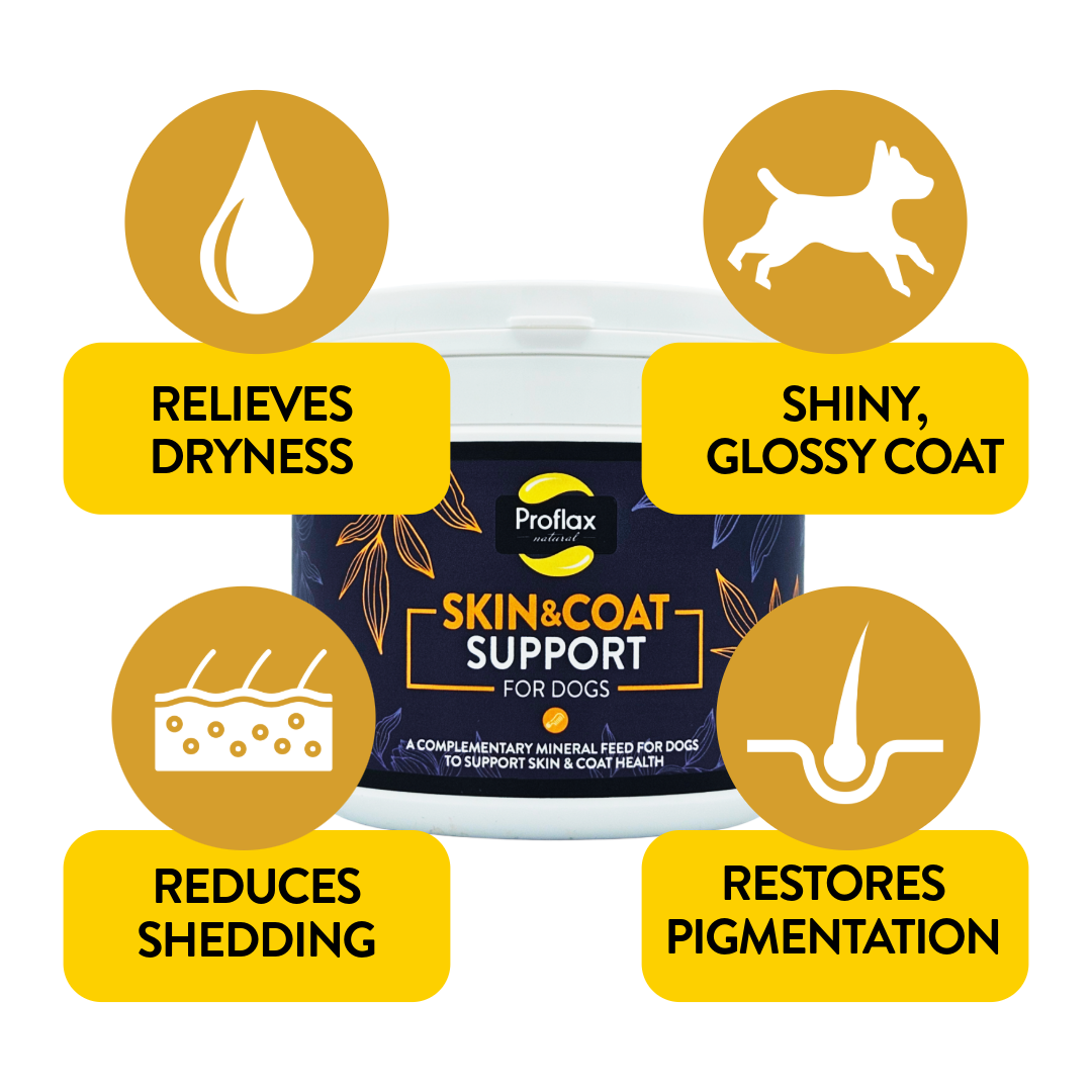 Proflax Skin & Coat Support for Dogs
