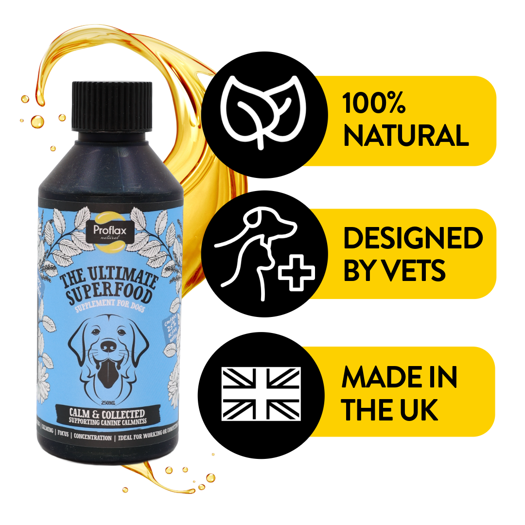 Calming Support for Mild Anxiety - Calm & Collected