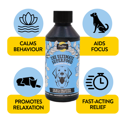Calming Support for Mild Anxiety - Calm & Collected