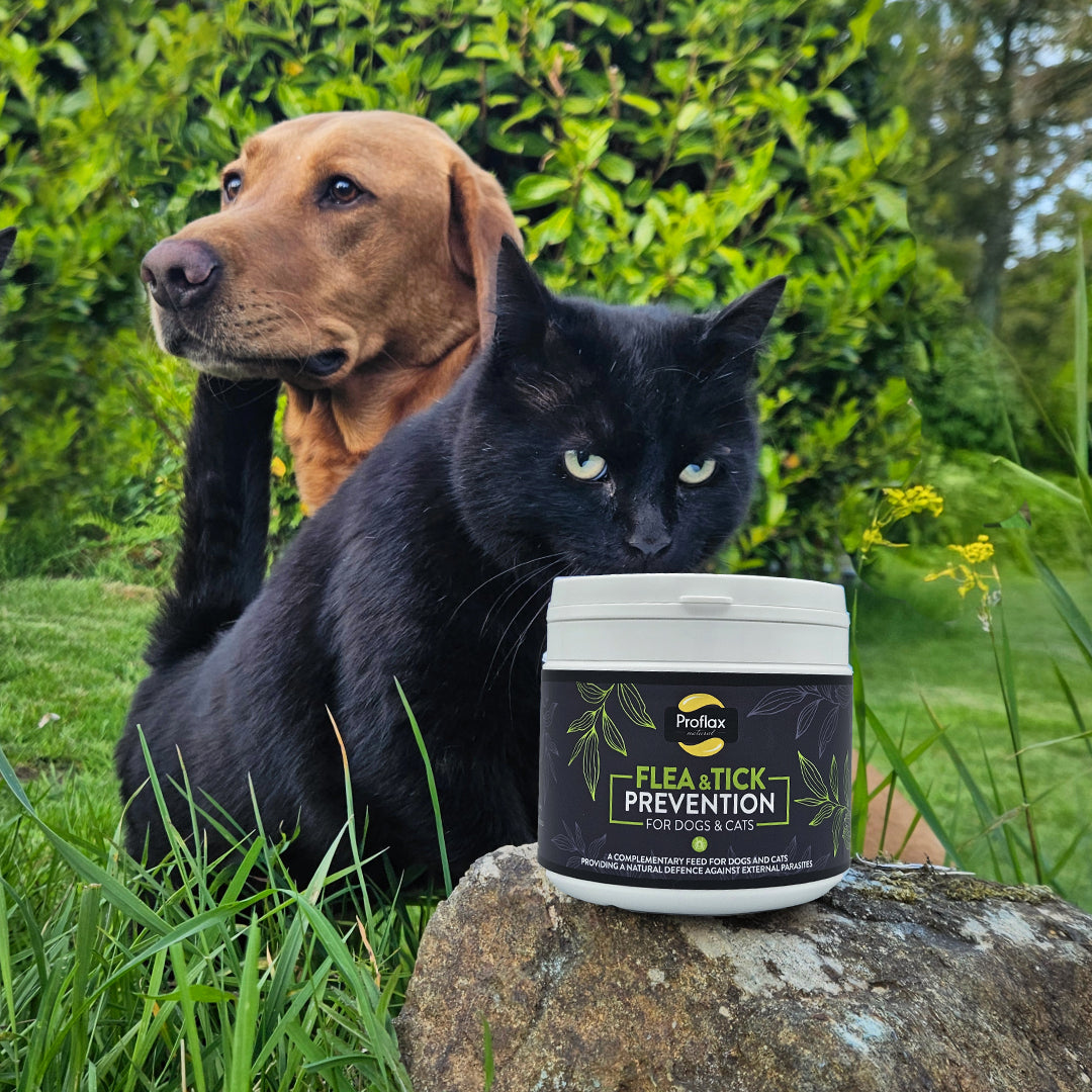 Proflax Flea & Tick Prevention For Dogs & Cats 250g