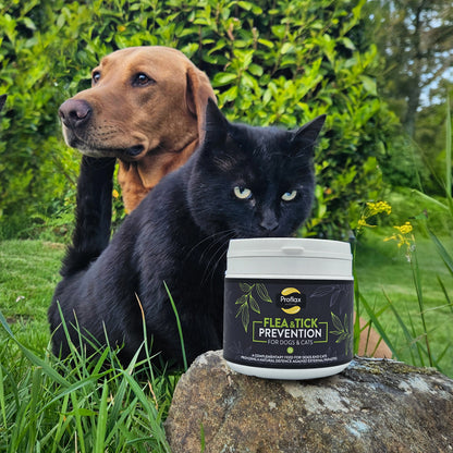Proflax Flea & Tick Prevention For Dogs & Cats 250g