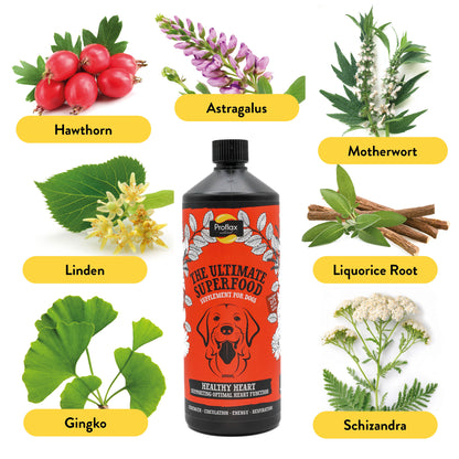 Proflax Healthy Heart for Dogs