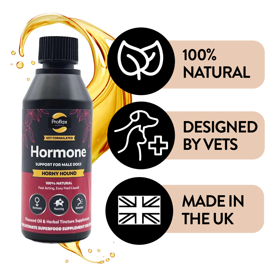 Emotional Balance for Male Dogs - Horny Hound
