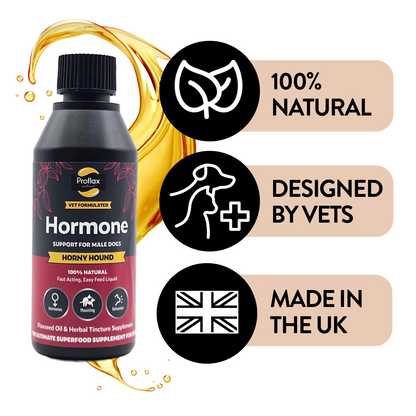 Emotional Balance for Male Dogs - Horny Hound