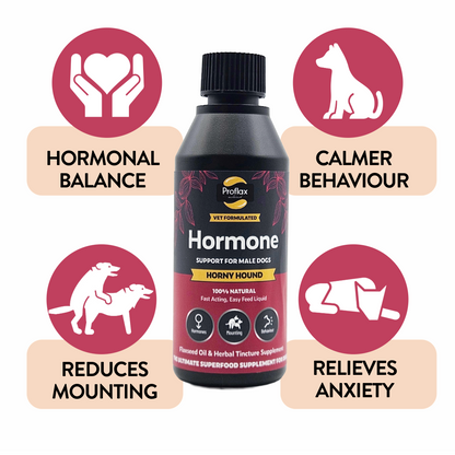 Emotional Balance for Male Dogs - Horny Hound