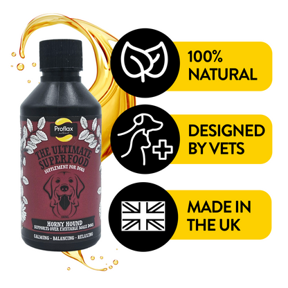 Emotional Balance for Male Dogs - Horny Hound