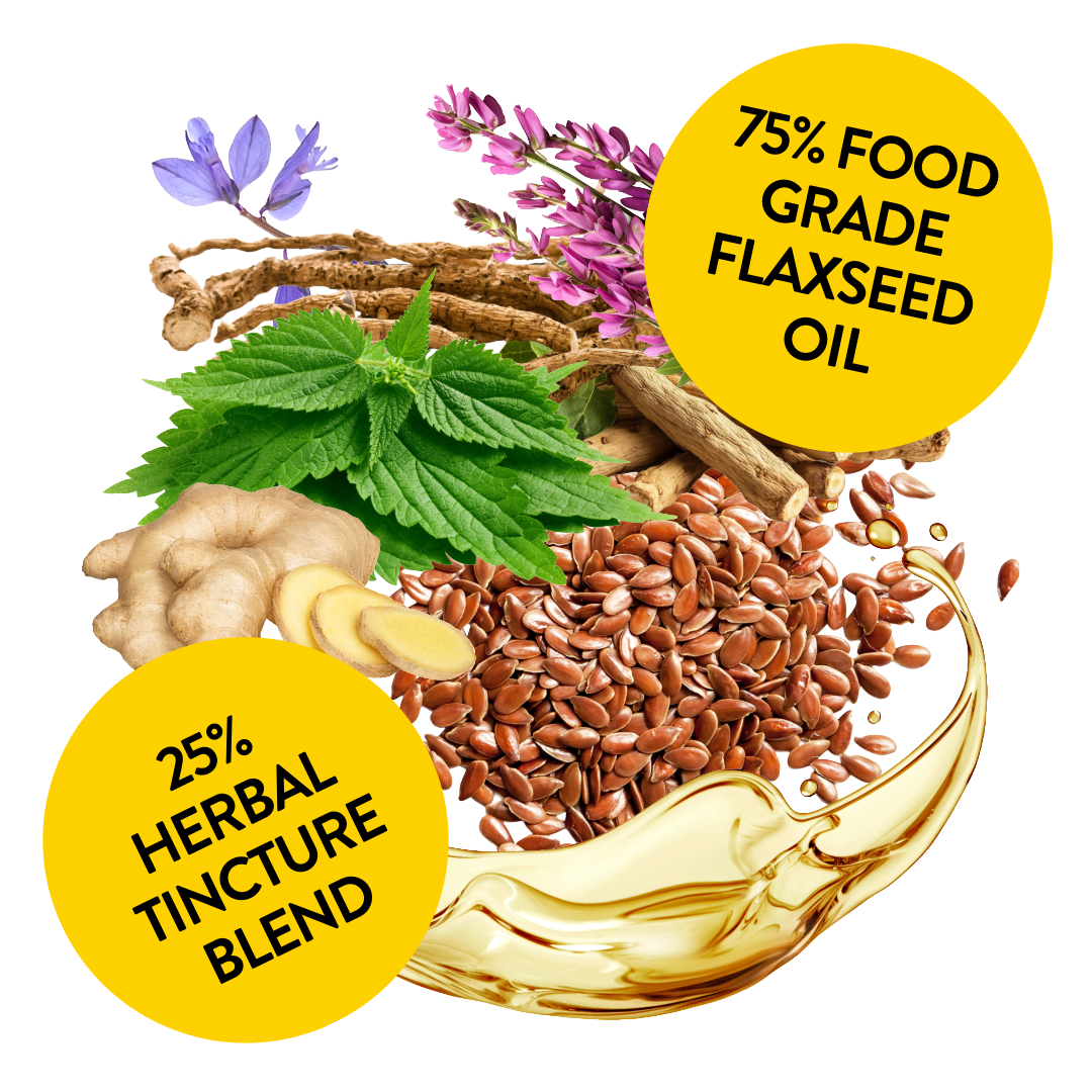 Emotional Balance for Male Dogs - Horny Hound