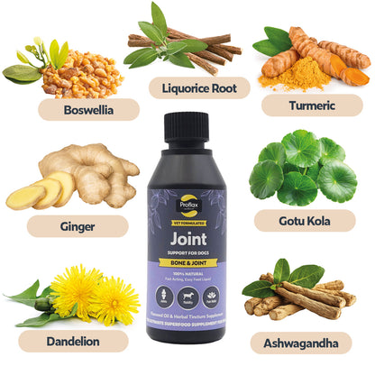 Bone, Joint & Mobility Support for Dogs