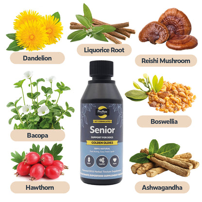 Senior Complete Blend  for Dogs - Golden Oldies