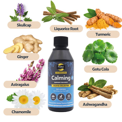 Calming Support for Mild Anxiety - Calm & Collected