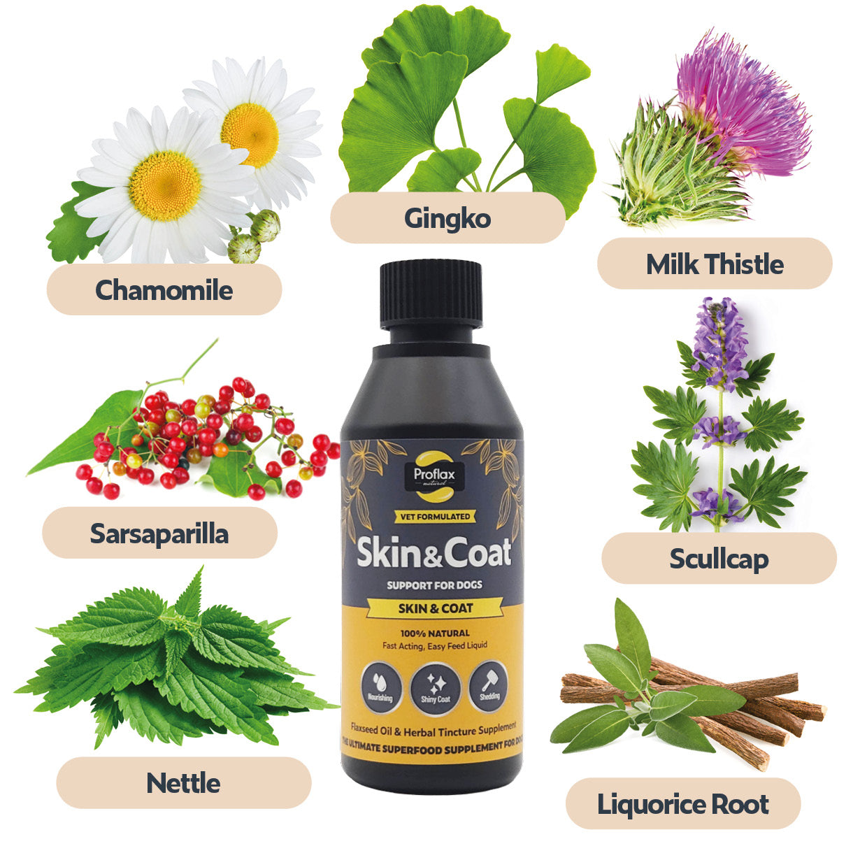 Skin & Coat Support for Dogs