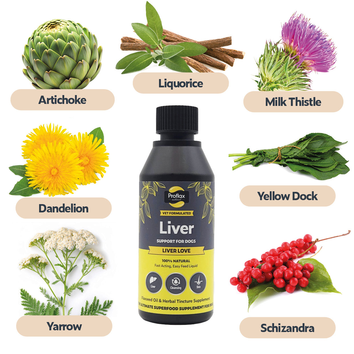 Liver & Cleansing Support for Dogs - Liver Love
