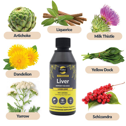 Liver & Cleansing Support for Dogs - Liver Love