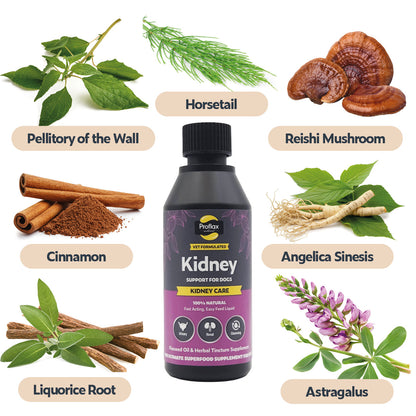 Kidney & Urinary Support for Dogs - Kidney Care