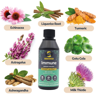 Immune & Energy Support for Dogs