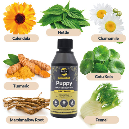 Puppy Digestion & Growth Support - Puppy Power