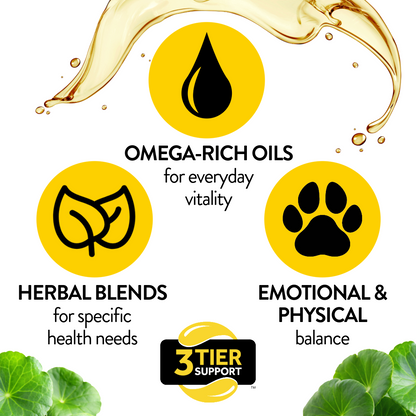 Kidney & Urinary Support for Dogs - Kidney Care