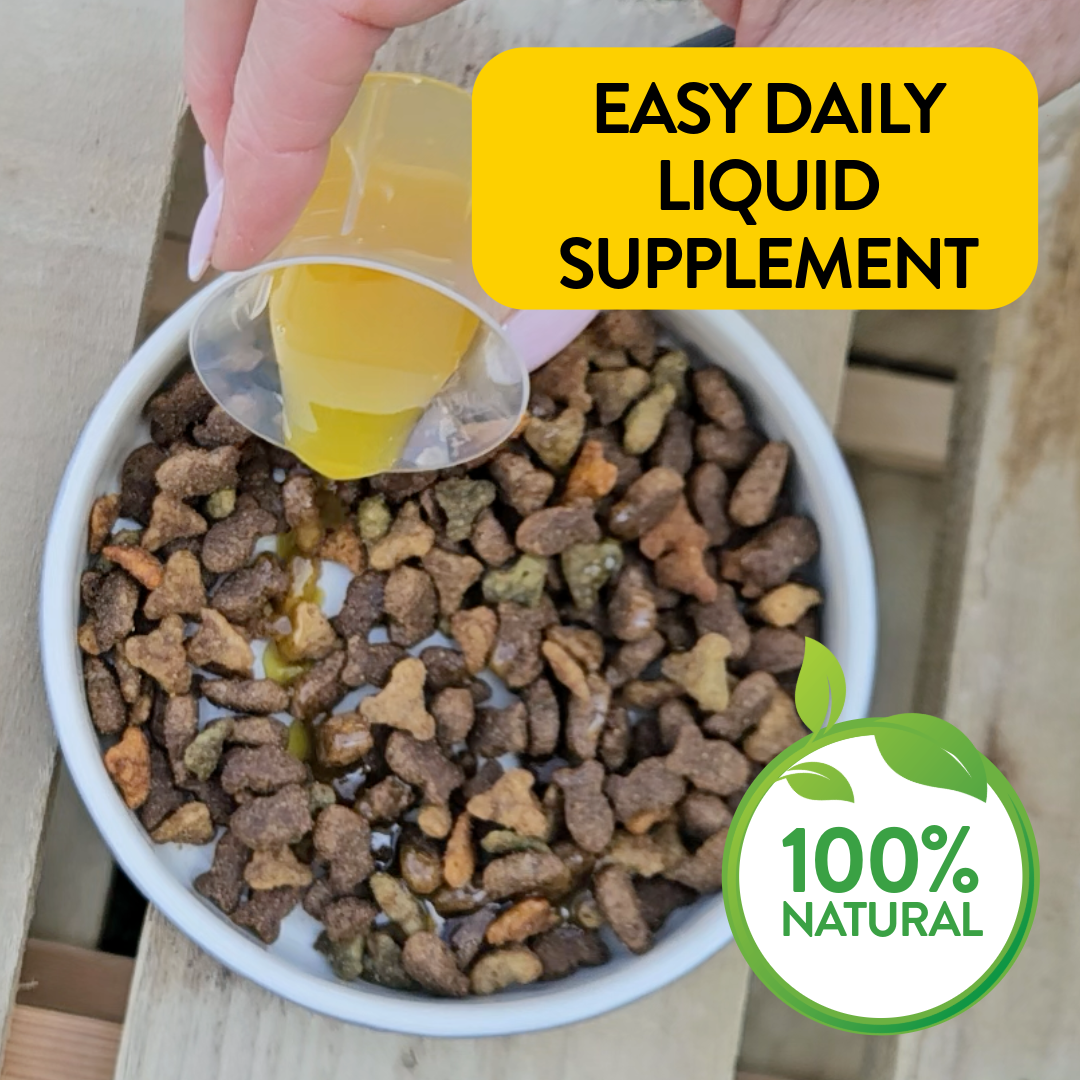 Kidney & Urinary Support for Dogs - Kidney Care