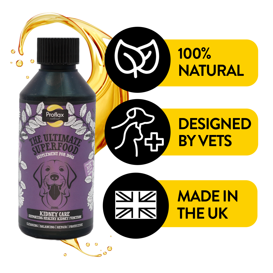 Kidney & Urinary Support for Dogs - Kidney Care