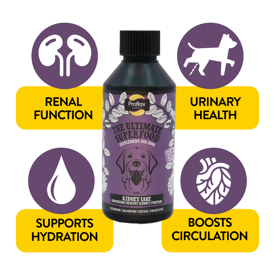 Kidney & Urinary Support for Dogs - Kidney Care