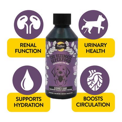 Kidney & Urinary Support for Dogs - Kidney Care