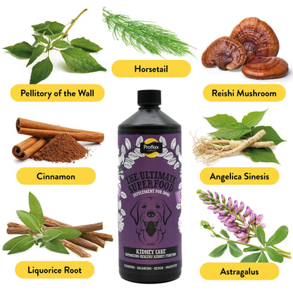 Proflax Kidney Care for Dogs