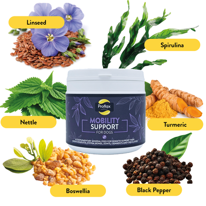 Proflax Mobility Support for Dogs 350g