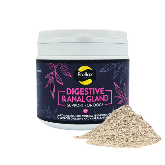 Proflax Digestive & Anal Gland Support for Dogs 350g