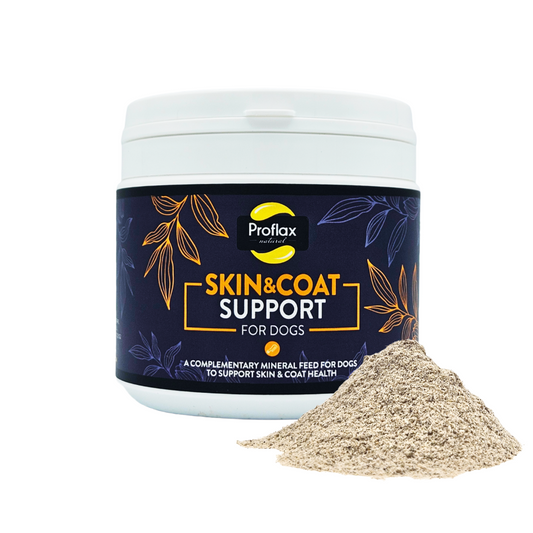 Proflax Skin & Coat Support for Dogs 350g