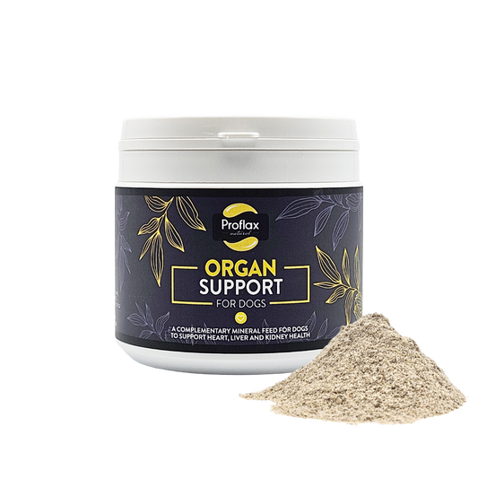 Proflax Organ Support For Dogs