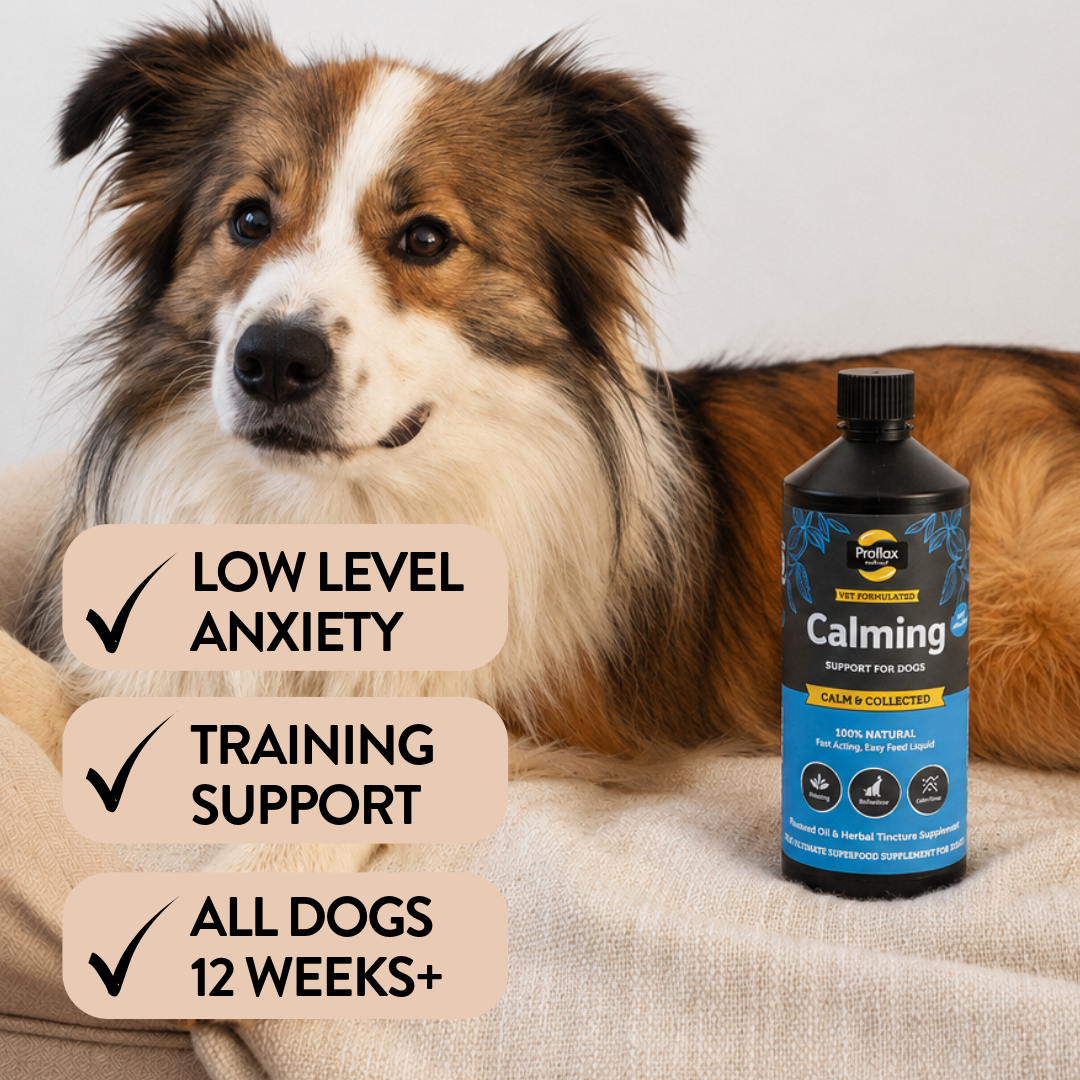 Calming Support for Mild Anxiety - Calm & Collected
