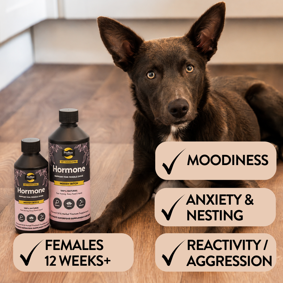 Balancing Relief for Female Dogs - Moody Bitch