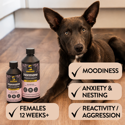 Balancing Relief for Female Dogs - Moody Bitch