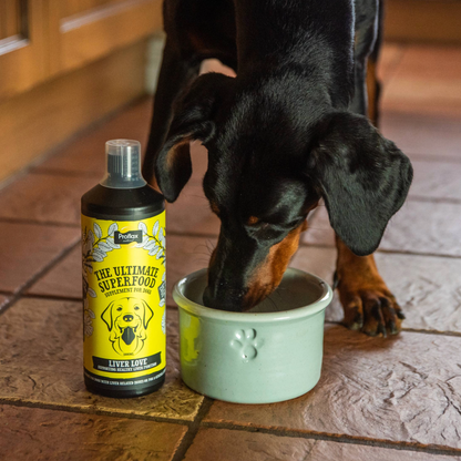 Liver & Cleansing Support for Dogs - Liver Love