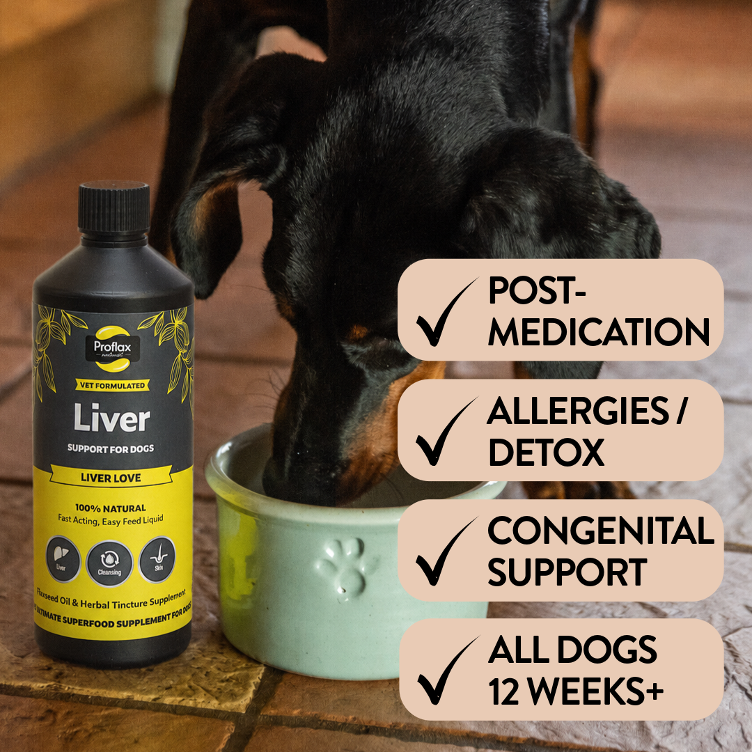Liver & Cleansing Support for Dogs - Liver Love