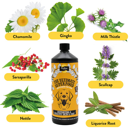 Skin & Coat Support for Dogs