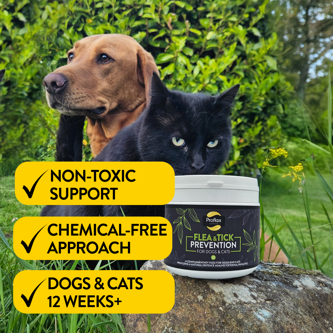 Proflax Flea & Tick Prevention For Dogs & Cats